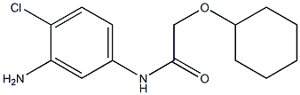 N-(3-amino-4-chlorophenyl)-2-(cyclohexyloxy)acetamide 구조식 이미지
