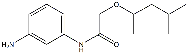 N-(3-aminophenyl)-2-[(4-methylpentan-2-yl)oxy]acetamide Structure