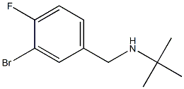 N-(3-bromo-4-fluorobenzyl)-N-(tert-butyl)amine Structure
