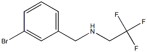 N-(3-bromobenzyl)-N-(2,2,2-trifluoroethyl)amine 구조식 이미지