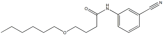 N-(3-cyanophenyl)-4-(hexyloxy)butanamide 구조식 이미지