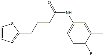 N-(4-bromo-3-methylphenyl)-4-(thiophen-2-yl)butanamide 구조식 이미지