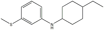 N-(4-ethylcyclohexyl)-3-(methylsulfanyl)aniline 구조식 이미지