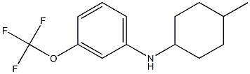 N-(4-methylcyclohexyl)-3-(trifluoromethoxy)aniline Structure