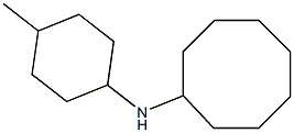 N-(4-methylcyclohexyl)cyclooctanamine 구조식 이미지