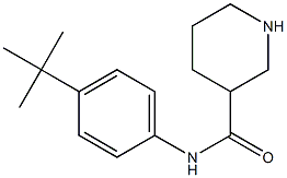 N-(4-tert-butylphenyl)piperidine-3-carboxamide Structure