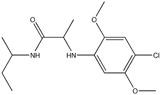 N-(butan-2-yl)-2-[(4-chloro-2,5-dimethoxyphenyl)amino]propanamide 구조식 이미지