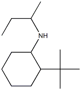 N-(butan-2-yl)-2-tert-butylcyclohexan-1-amine 구조식 이미지