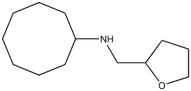 N-(oxolan-2-ylmethyl)cyclooctanamine Structure