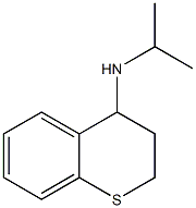 N-(propan-2-yl)-3,4-dihydro-2H-1-benzothiopyran-4-amine Structure