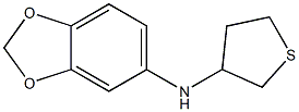 N-(thiolan-3-yl)-2H-1,3-benzodioxol-5-amine 구조식 이미지