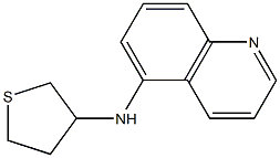 N-(thiolan-3-yl)quinolin-5-amine Structure