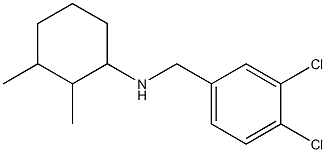 N-[(3,4-dichlorophenyl)methyl]-2,3-dimethylcyclohexan-1-amine Structure