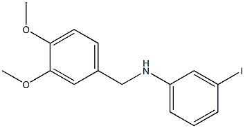 N-[(3,4-dimethoxyphenyl)methyl]-3-iodoaniline 구조식 이미지