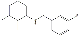 N-[(3-fluorophenyl)methyl]-2,3-dimethylcyclohexan-1-amine 구조식 이미지