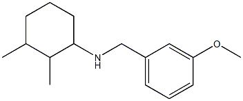 N-[(3-methoxyphenyl)methyl]-2,3-dimethylcyclohexan-1-amine Structure