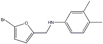 N-[(5-bromofuran-2-yl)methyl]-3,4-dimethylaniline 구조식 이미지