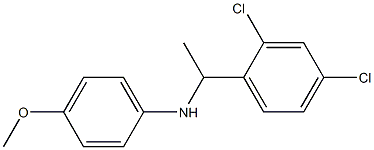 N-[1-(2,4-dichlorophenyl)ethyl]-4-methoxyaniline 구조식 이미지