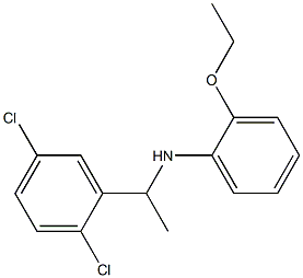 N-[1-(2,5-dichlorophenyl)ethyl]-2-ethoxyaniline 구조식 이미지