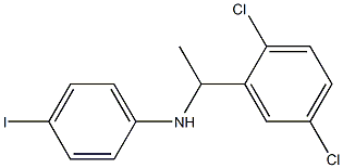 N-[1-(2,5-dichlorophenyl)ethyl]-4-iodoaniline 구조식 이미지