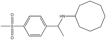 N-[1-(4-methanesulfonylphenyl)ethyl]cyclooctanamine Structure