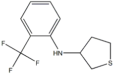 N-[2-(trifluoromethyl)phenyl]thiolan-3-amine 구조식 이미지