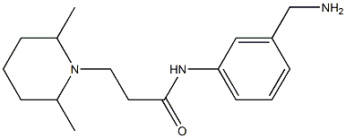 N-[3-(aminomethyl)phenyl]-3-(2,6-dimethylpiperidin-1-yl)propanamide 구조식 이미지