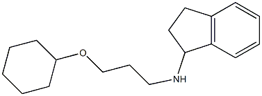 N-[3-(cyclohexyloxy)propyl]-2,3-dihydro-1H-inden-1-amine Structure