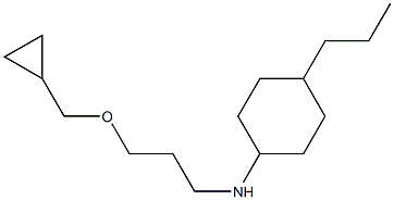 N-[3-(cyclopropylmethoxy)propyl]-4-propylcyclohexan-1-amine Structure