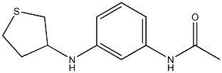 N-[3-(thiolan-3-ylamino)phenyl]acetamide 구조식 이미지