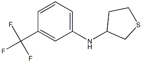 N-[3-(trifluoromethyl)phenyl]thiolan-3-amine 구조식 이미지