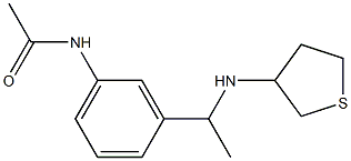 N-{3-[1-(thiolan-3-ylamino)ethyl]phenyl}acetamide 구조식 이미지