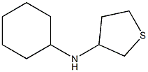 N-cyclohexylthiolan-3-amine Structure