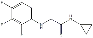 N-cyclopropyl-2-[(2,3,4-trifluorophenyl)amino]acetamide Structure