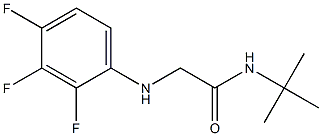 N-tert-butyl-2-[(2,3,4-trifluorophenyl)amino]acetamide 구조식 이미지