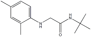 N-tert-butyl-2-[(2,4-dimethylphenyl)amino]acetamide 구조식 이미지