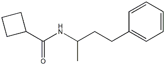 N-(1-methyl-3-phenylpropyl)cyclobutanecarboxamide Structure