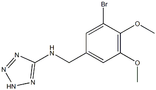 N-(3-bromo-4,5-dimethoxybenzyl)-N-(2H-tetraazol-5-yl)amine 구조식 이미지