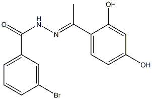 3-bromo-N'-[(E)-1-(2,4-dihydroxyphenyl)ethylidene]benzohydrazide Structure