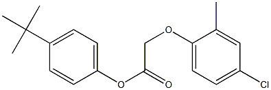 4-(tert-butyl)phenyl 2-(4-chloro-2-methylphenoxy)acetate Structure