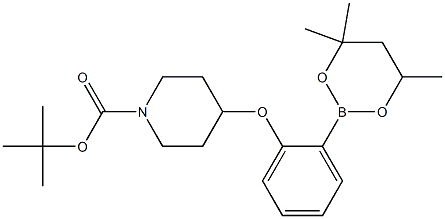 tert-Butyl 4-[2-(4,4,6-trimethyl-1,3,2-dioxaborinan-2-yl)phenoxy]piperidine-1-carboxylate 구조식 이미지