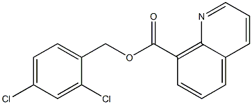 Quinoline-8-carboxylic acid 2,4-dichlorobenzyl ester 구조식 이미지