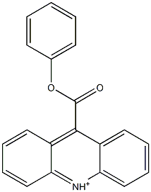 9-(Phenoxycarbonyl)acridinium 구조식 이미지