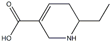 1,2,5,6-Tetrahydro-6-ethylpyridine-3-carboxylic acid 구조식 이미지