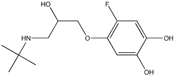 4-(3-tert-Butylamino-2-hydroxypropyloxy)-5-fluorobenzene-1,2-diol 구조식 이미지
