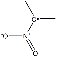 1-Nitro-1-methylethyl radical Structure