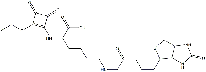 2-[(2-Ethoxy-3,4-dioxo-1-cyclobuten-1-yl)amino]-6-[[2-oxo-5-[(hexahydro-2-oxo-1H-thieno[3,4-d]imidazol)-4-yl]pentyl]amino]hexanoic acid Structure