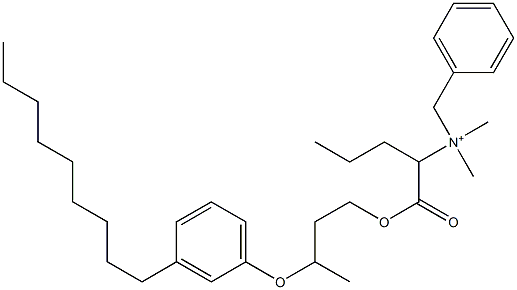 N,N-Dimethyl-N-benzyl-N-[1-[[3-(3-nonylphenyloxy)butyl]oxycarbonyl]butyl]aminium 구조식 이미지