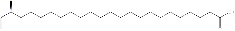 (R)-22-Methyltetracosanoic acid 구조식 이미지