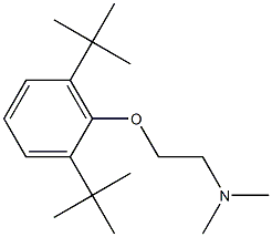 N,N-Dimethyl-2-(2,6-di-tert-butylphenoxy)ethanamine 구조식 이미지